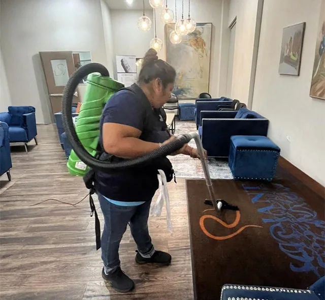 Expert Carpet Cleaning